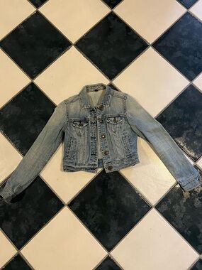 American Eagle Outfitters Blue  Denim Jacket